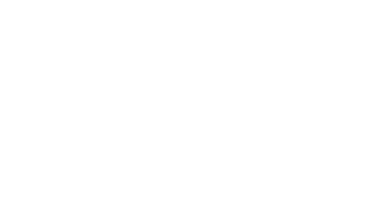 New Balance Numeric
